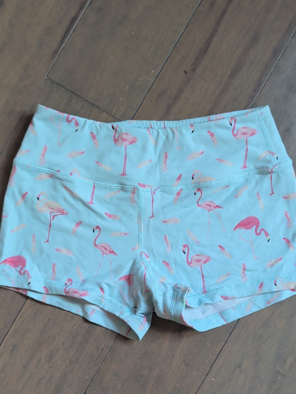 Savage Barbell Light Blue Flamingo Print Bike Shorts